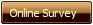 Online Survey